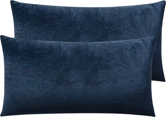 NTBAY 2 Pack Zippered Velvet King Pillowcases, Super Soft and Cozy Luxury Fuzzy Flannel Pillow Cases with Zipper, 20x36 (Серьёзная и уютная роскошная фланельная подушечная чехла с ципом, 20х36)