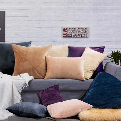 NTBAY 2 Pack Zippered Velvet King Pillowcases, Super Soft and Cozy Luxury Fuzzy Flannel Pillow Cases with Zipper, 20x36 (Серьёзная и уютная роскошная фланельная подушечная чехла с ципом, 20х36)