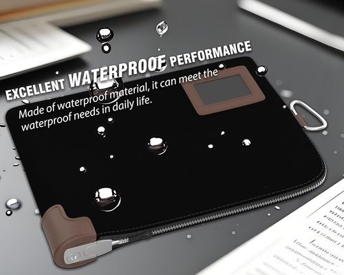 Сумка для наличных, Нотариальная сумка с замком, 2 ключа, Водонепроницаемый чехол для документов, Кошелек для денег на молнии, 11,7 x 8,3 дюйма, Сумки для депозитов и дорожный кошелек для защиты паспорта, наличных, чеков, кредитных карт